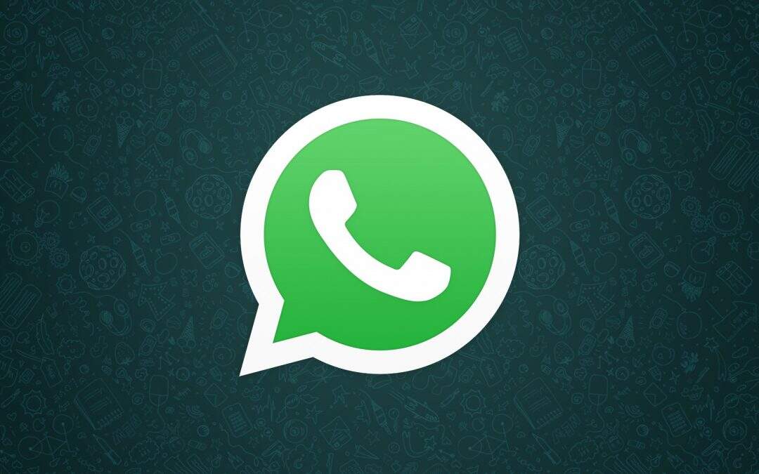 WhatsApp prepara versão para empresas