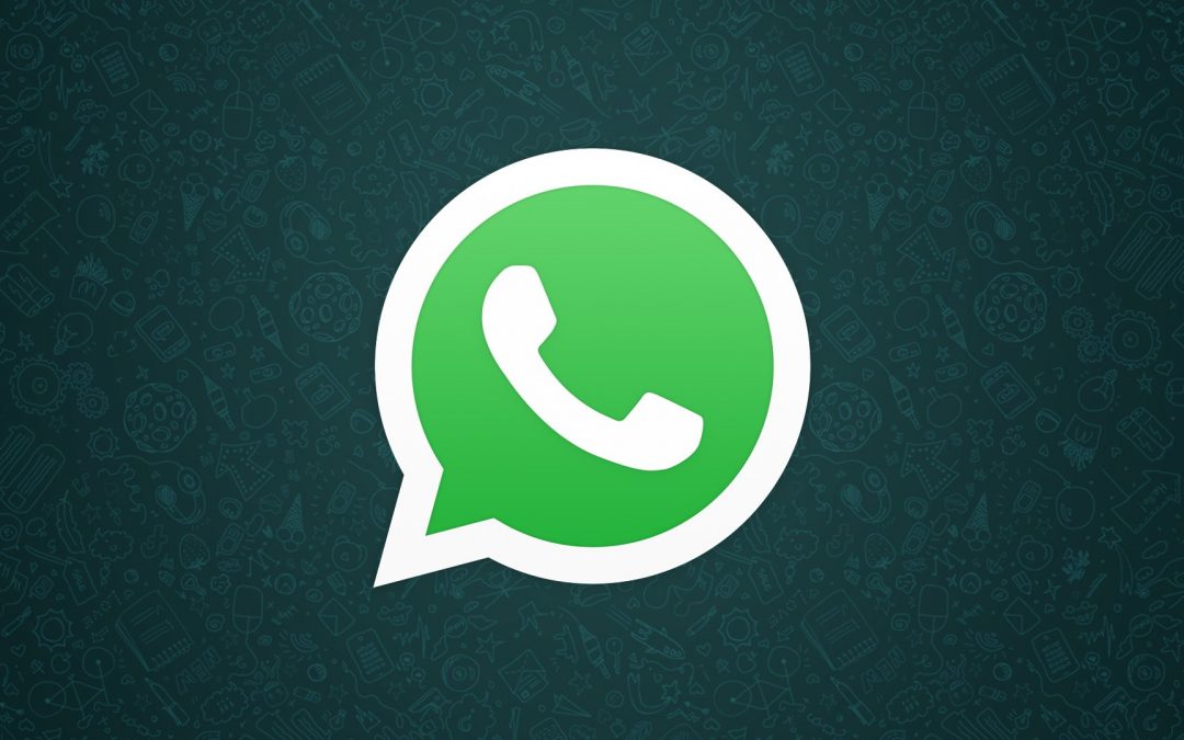 WhatsApp prepara versão para empresas